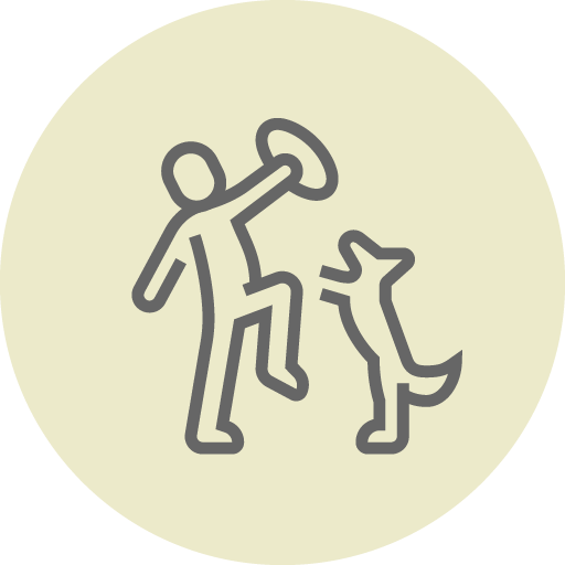 ドックラン利用費無料