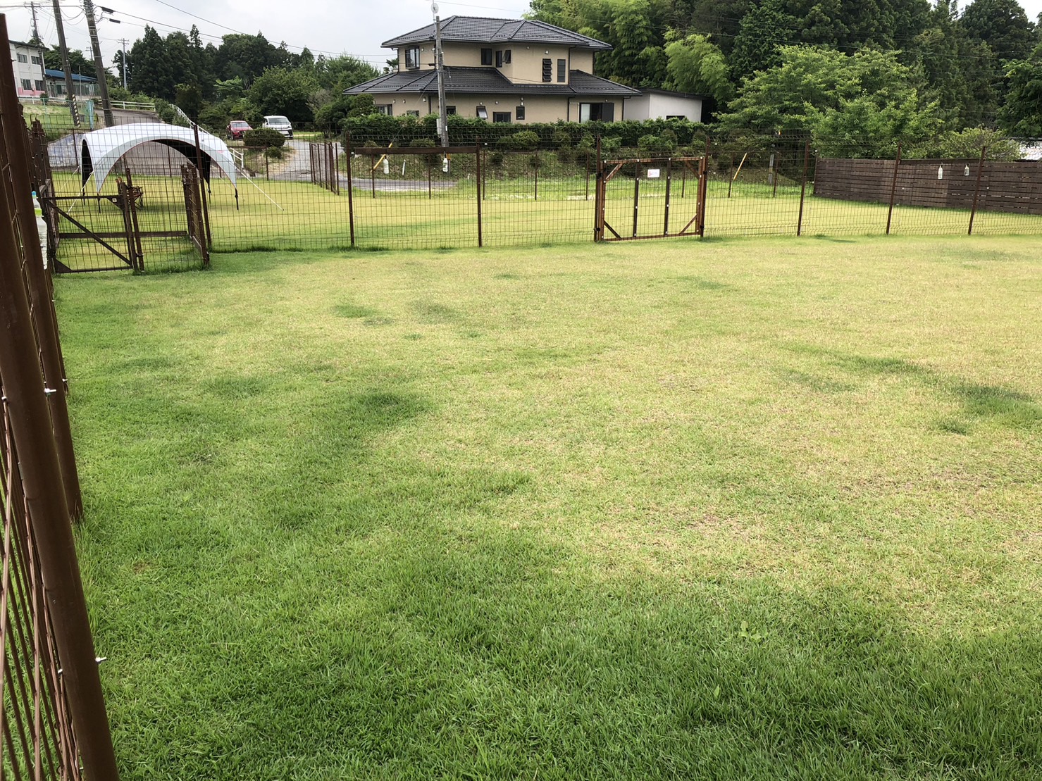 ドッグラン（個人・企業）